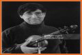 David Shapiro (musician)