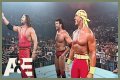 Hulk Hogan Was at His Meanest When He Vandalized the WCW World Heavyweight
Championship