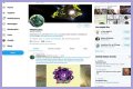 Twitch streamer disappears from internet after caught pleasuring himself during broadcast