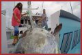 Who has the most expensive boat on Wicked Tuna?